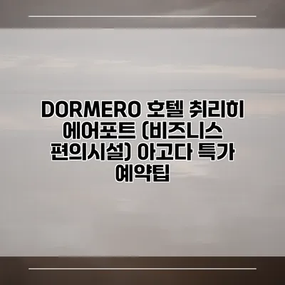 DORMERO 호텔 취리히 에어포트 (비즈니스 편의시설) 아고다 특가 예약팁