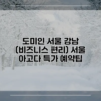 도미인 서울 강남 (비즈니스 편리) 서울 아고다 특가 예약팁