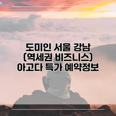 도미인 서울 강남 (역세권 비즈니스) 아고다 특가 예약정보