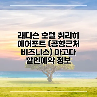 래디슨 호텔 취리히 에어포트 (공항근처 비즈니스) 아고다 할인예약 정보
