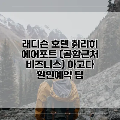 래디슨 호텔 취리히 에어포트 (공항근처 비즈니스) 아고다 할인예약 팁