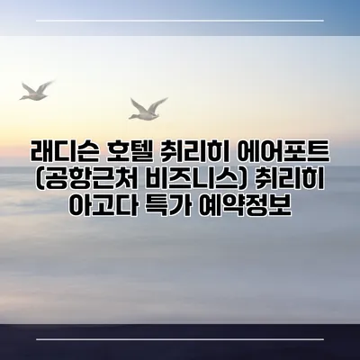 래디슨 호텔 취리히 에어포트 (공항근처 비즈니스) 취리히 아고다 특가 예약정보