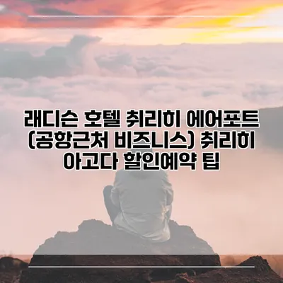 래디슨 호텔 취리히 에어포트 (공항근처 비즈니스) 취리히 아고다 할인예약 팁