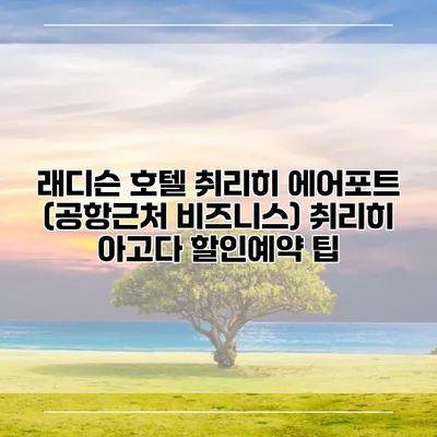 래디슨 호텔 취리히 에어포트 (공항근처 비즈니스) 취리히 아고다 할인예약 팁
