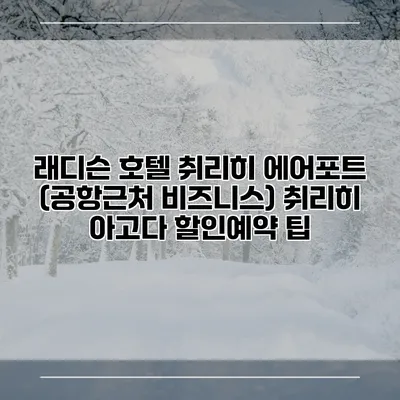 래디슨 호텔 취리히 에어포트 (공항근처 비즈니스) 취리히 아고다 할인예약 팁