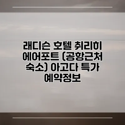 래디슨 호텔 취리히 에어포트 (공항근처 숙소) 아고다 특가 예약정보