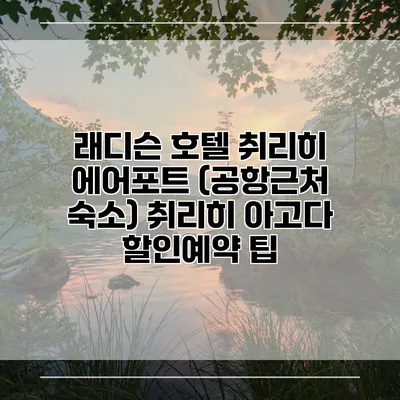 래디슨 호텔 취리히 에어포트 (공항근처 숙소) 취리히 아고다 할인예약 팁