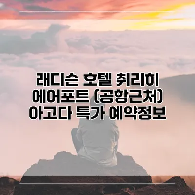 래디슨 호텔 취리히 에어포트 (공항근처) 아고다 특가 예약정보