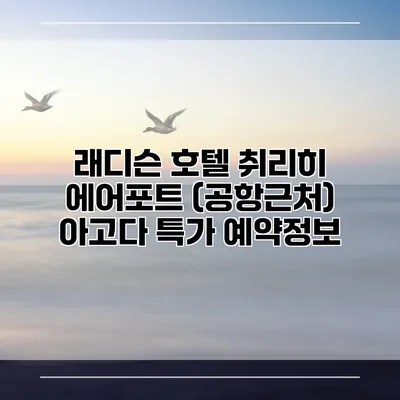 래디슨 호텔 취리히 에어포트 (공항근처) 아고다 특가 예약정보