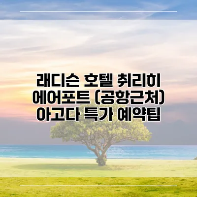 래디슨 호텔 취리히 에어포트 (공항근처) 아고다 특가 예약팁