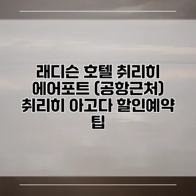 래디슨 호텔 취리히 에어포트 (공항근처) 취리히 아고다 할인예약 팁