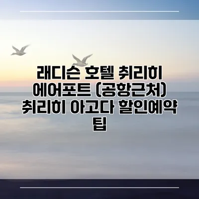 래디슨 호텔 취리히 에어포트 (공항근처) 취리히 아고다 할인예약 팁