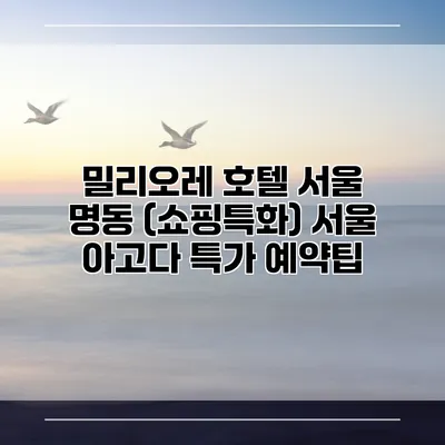 밀리오레 호텔 서울 명동 (쇼핑특화) 서울 아고다 특가 예약팁