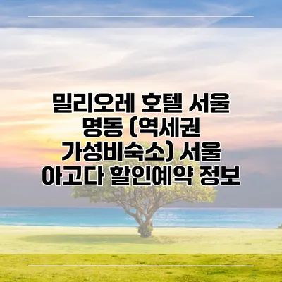 밀리오레 호텔 서울 명동 (역세권 가성비숙소) 서울 아고다 할인예약 정보