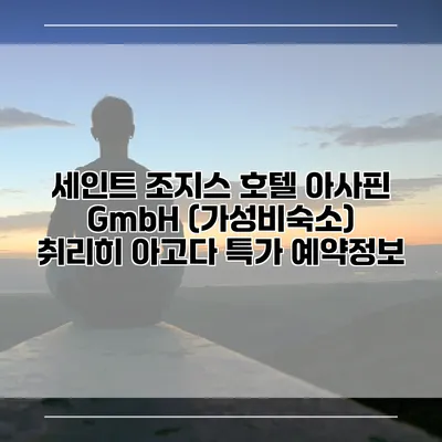 세인트 조지스 호텔 아사핀 GmbH (가성비숙소) 취리히 아고다 특가 예약정보