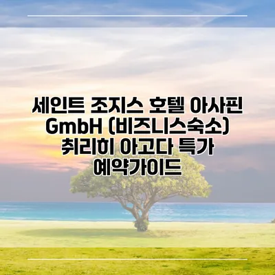 세인트 조지스 호텔 아사핀 GmbH (비즈니스숙소) 취리히 아고다 특가 예약가이드