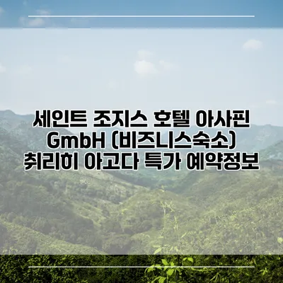 세인트 조지스 호텔 아사핀 GmbH (비즈니스숙소) 취리히 아고다 특가 예약정보