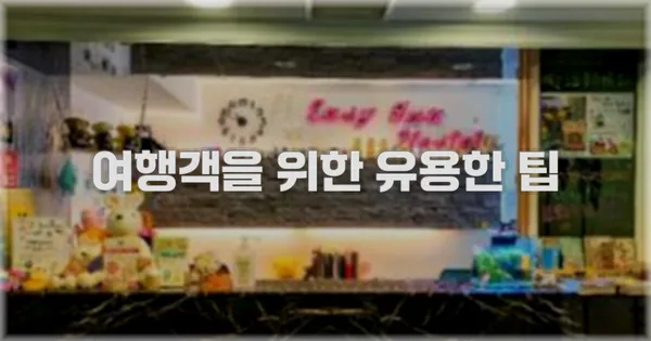여행객을 위한 유용한 팁