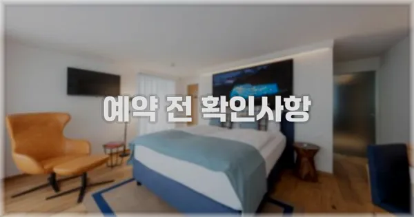 예약 전 확인사항