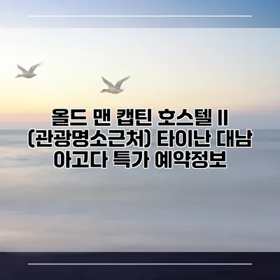 올드 맨 캡틴 호스텔 II (관광명소근처) 타이난 대남 아고다 특가 예약정보