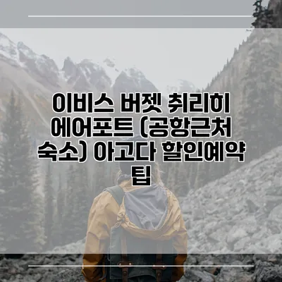 이비스 버젯 취리히 에어포트 (공항근처 숙소) 아고다 할인예약 팁