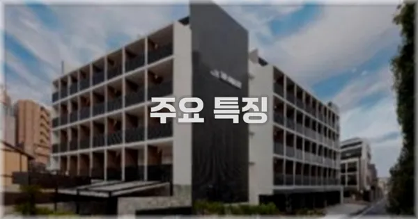 ✨ 주요 특징