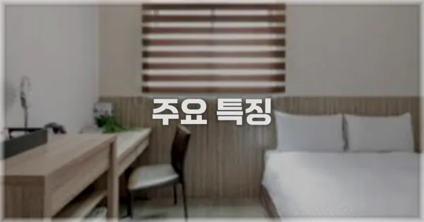 ✨ 주요 특징