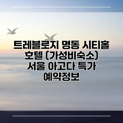 트레블로지 명동 시티홀 호텔 (가성비숙소) 서울 아고다 특가 예약정보