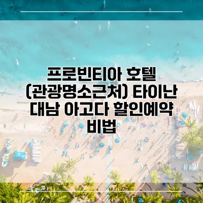 프로빈티아 호텔 (관광명소근처) 타이난 대남 아고다 할인예약 비법