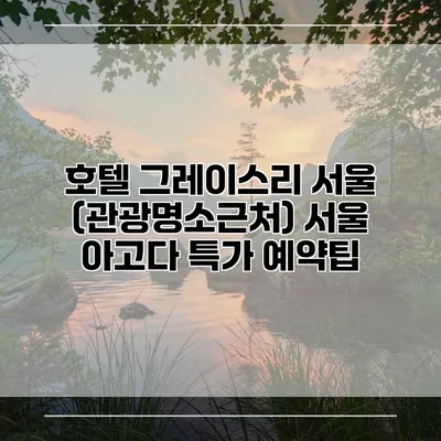 호텔 그레이스리 서울 (관광명소근처) 서울 아고다 특가 예약팁