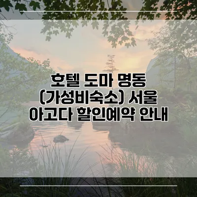 호텔 도마 명동 (가성비숙소) 서울 아고다 할인예약 안내