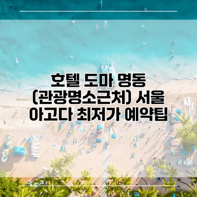 호텔 도마 명동 (관광명소근처) 서울 아고다 최저가 예약팁
