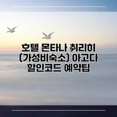 호텔 몬타나 취리히 (가성비숙소) 아고다 할인코드 예약팁