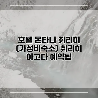 호텔 몬타나 취리히 (가성비숙소) 취리히 아고다 예약팁