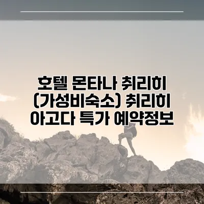 호텔 몬타나 취리히 (가성비숙소) 취리히 아고다 특가 예약정보