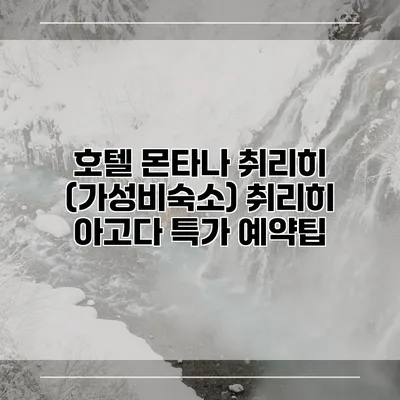 호텔 몬타나 취리히 (가성비숙소) 취리히 아고다 특가 예약팁