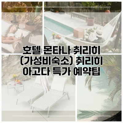 호텔 몬타나 취리히 (가성비숙소) 취리히 아고다 특가 예약팁