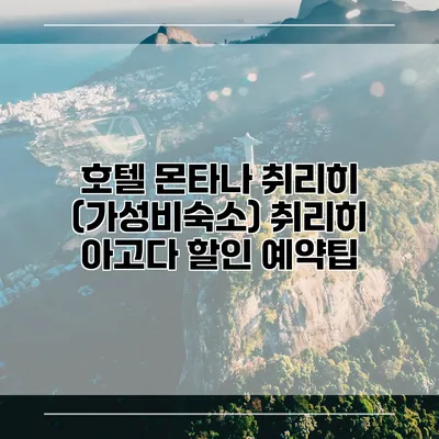 호텔 몬타나 취리히 (가성비숙소) 취리히 아고다 할인 예약팁