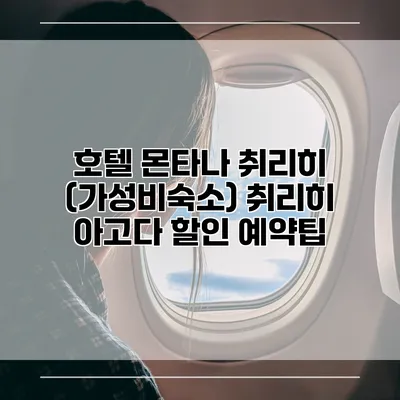 호텔 몬타나 취리히 (가성비숙소) 취리히 아고다 할인 예약팁