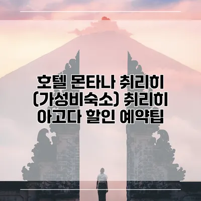 호텔 몬타나 취리히 (가성비숙소) 취리히 아고다 할인 예약팁