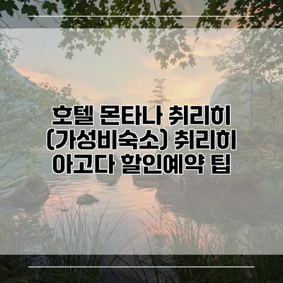 호텔 몬타나 취리히 (가성비숙소) 취리히 아고다 할인예약 팁