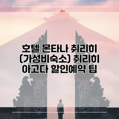 호텔 몬타나 취리히 (가성비숙소) 취리히 아고다 할인예약 팁