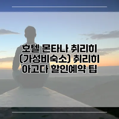 호텔 몬타나 취리히 (가성비숙소) 취리히 아고다 할인예약 팁