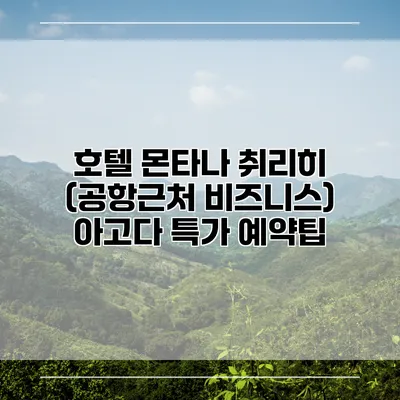 호텔 몬타나 취리히 (공항근처 비즈니스) 아고다 특가 예약팁
