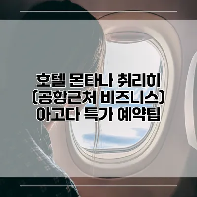 호텔 몬타나 취리히 (공항근처 비즈니스) 아고다 특가 예약팁