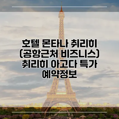 호텔 몬타나 취리히 (공항근처 비즈니스) 취리히 아고다 특가 예약정보