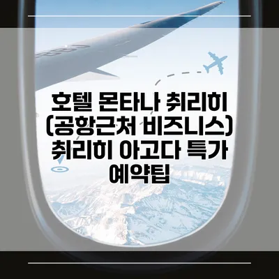 호텔 몬타나 취리히 (공항근처 비즈니스) 취리히 아고다 특가 예약팁