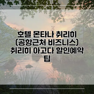호텔 몬타나 취리히 (공항근처 비즈니스) 취리히 아고다 할인예약 팁