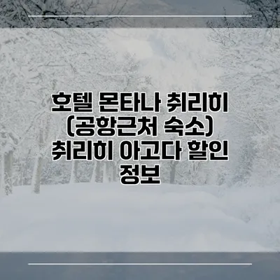 호텔 몬타나 취리히 (공항근처 숙소) 취리히 아고다 할인 정보