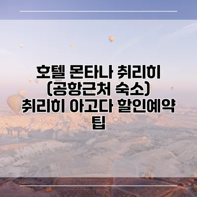 호텔 몬타나 취리히 (공항근처 숙소) 취리히 아고다 할인예약 팁